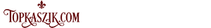 Top Kaszik logo